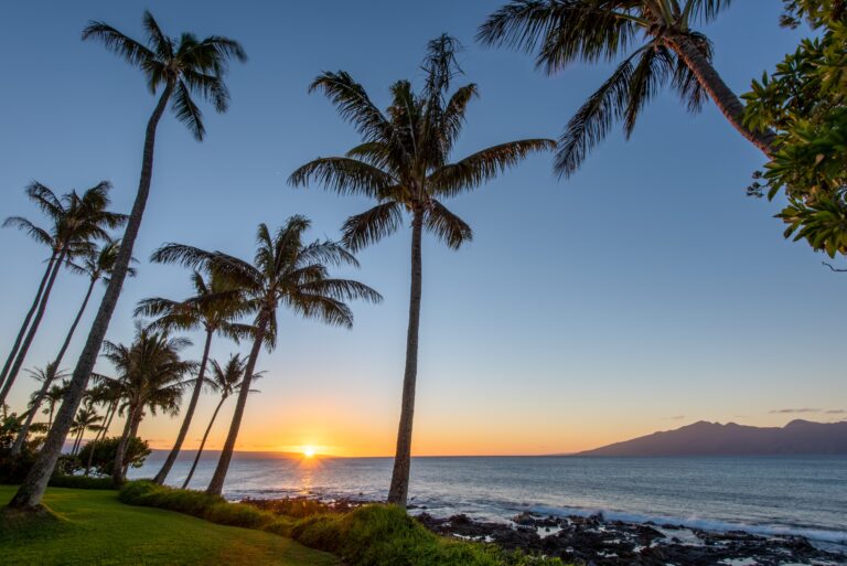 What to Look for in a South Florida Mental Health Program