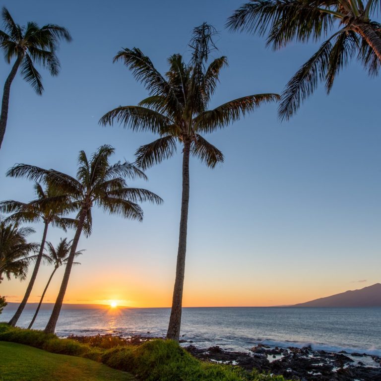 What to Look for in a South Florida Mental Health Program